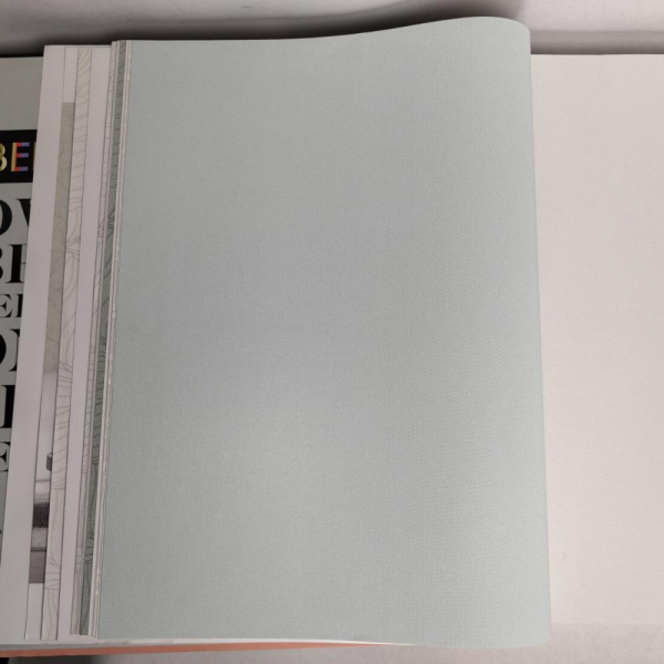 Andrea Rossi Berggi 54450-7