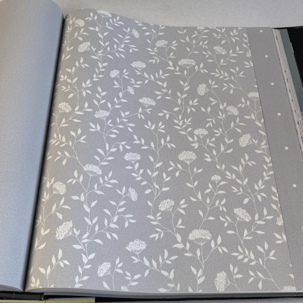 Andrea Rossi Spectrum Box 54456-5