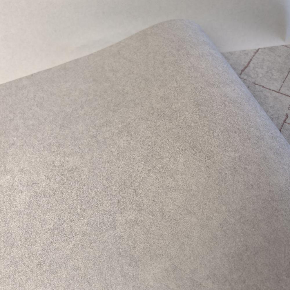 Andrea Rossi Cavolli 54422-7