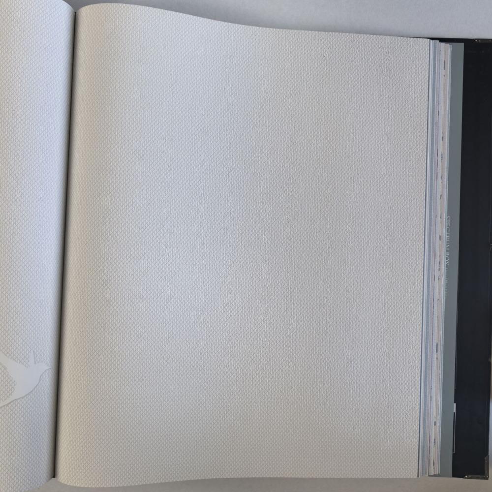 Andrea Rossi Spectrum Box 54457-1